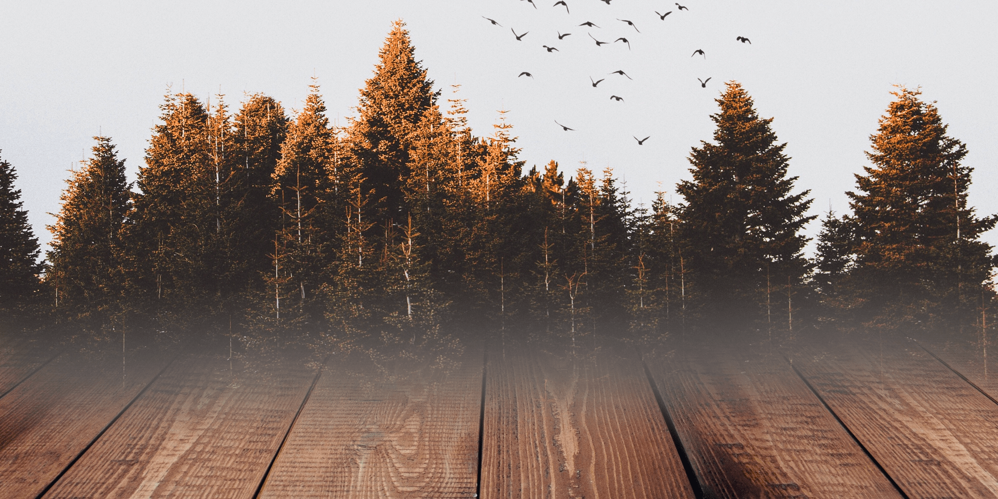 Macchie di grasso sui pavimenti in legno