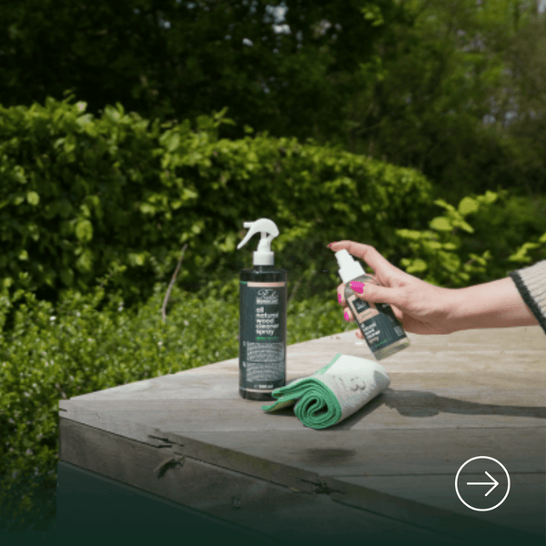 Pulizia e manutenzione