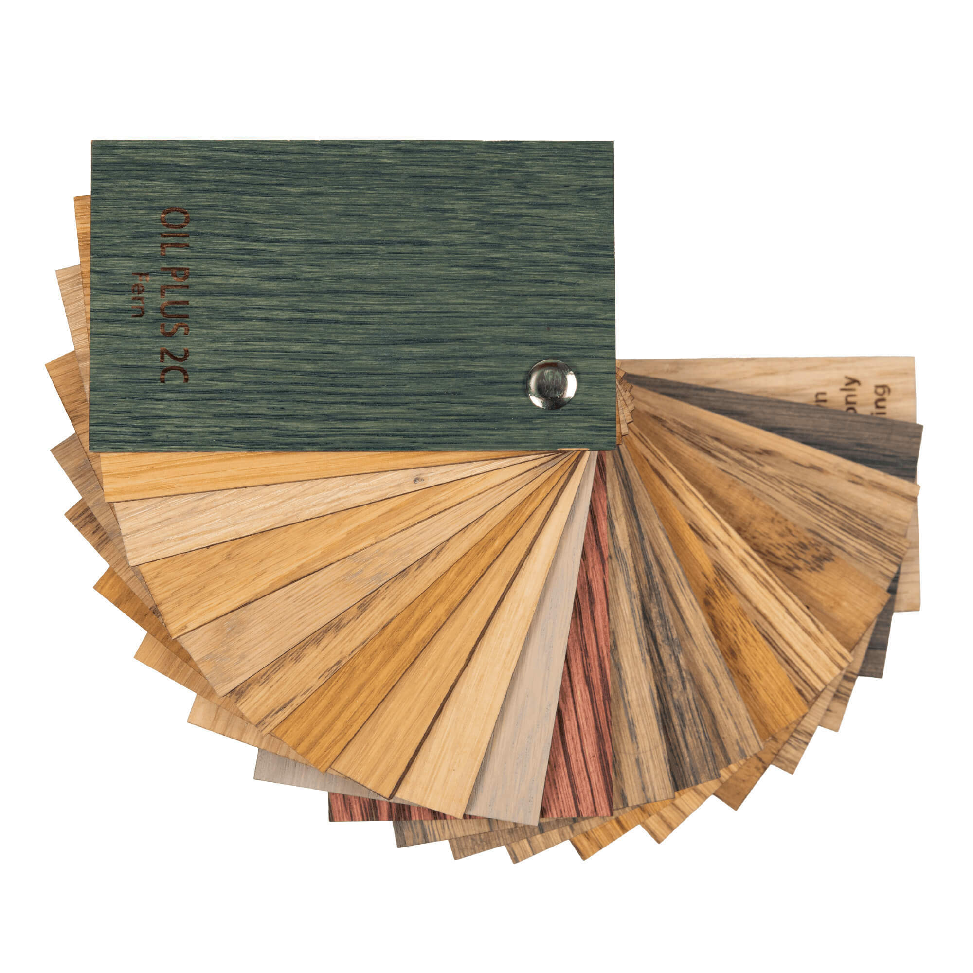 Ventagli di Colore Oil Plus 2C