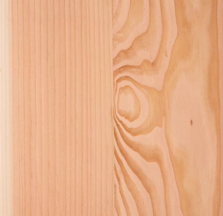 Trattamento e finitura del legno douglas Trattamento e finitura del legno douglas